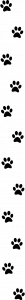 Left Side Paw Prints